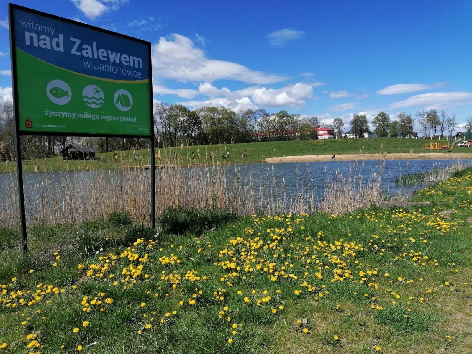 Zdjęcie 1