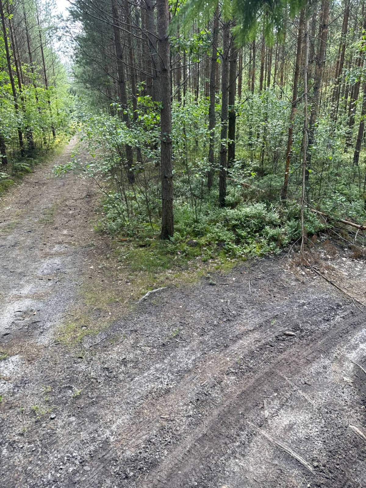 Zdjęcie 2