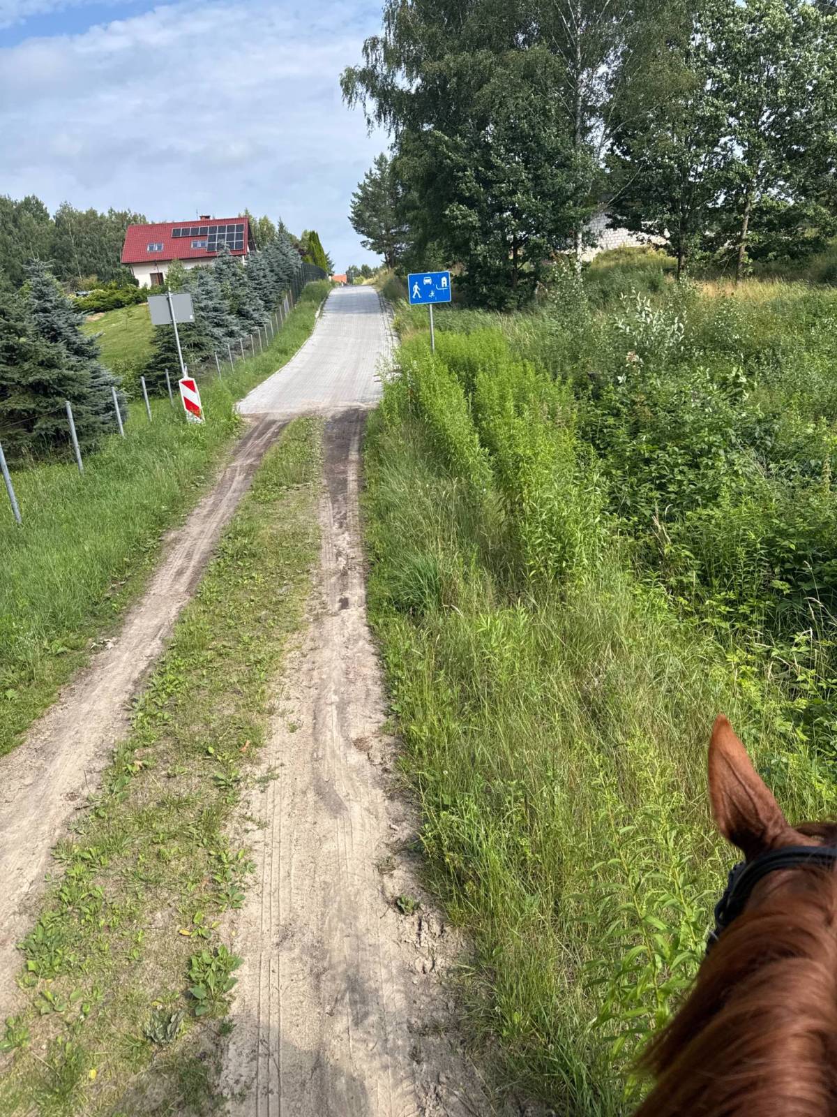 Zdjęcie 4