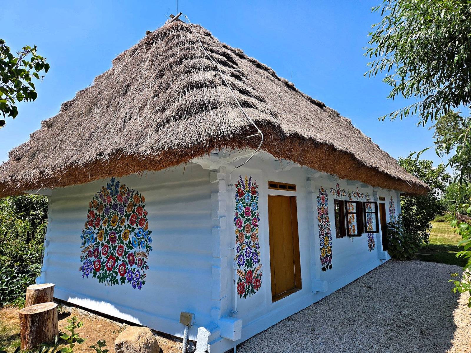 Zdjęcie 1