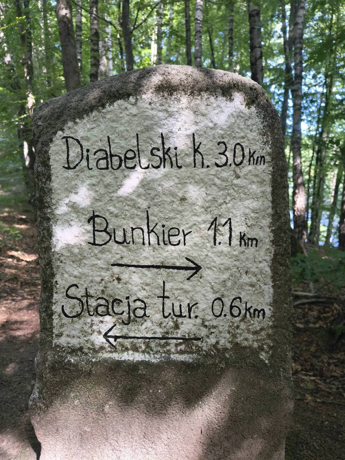 Zdjęcie 2
