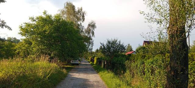 thumb-image