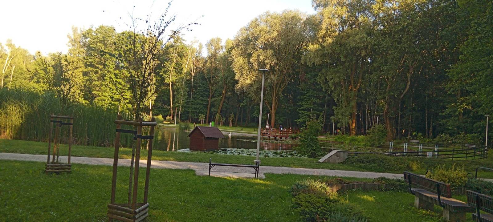 Zdjęcie 2