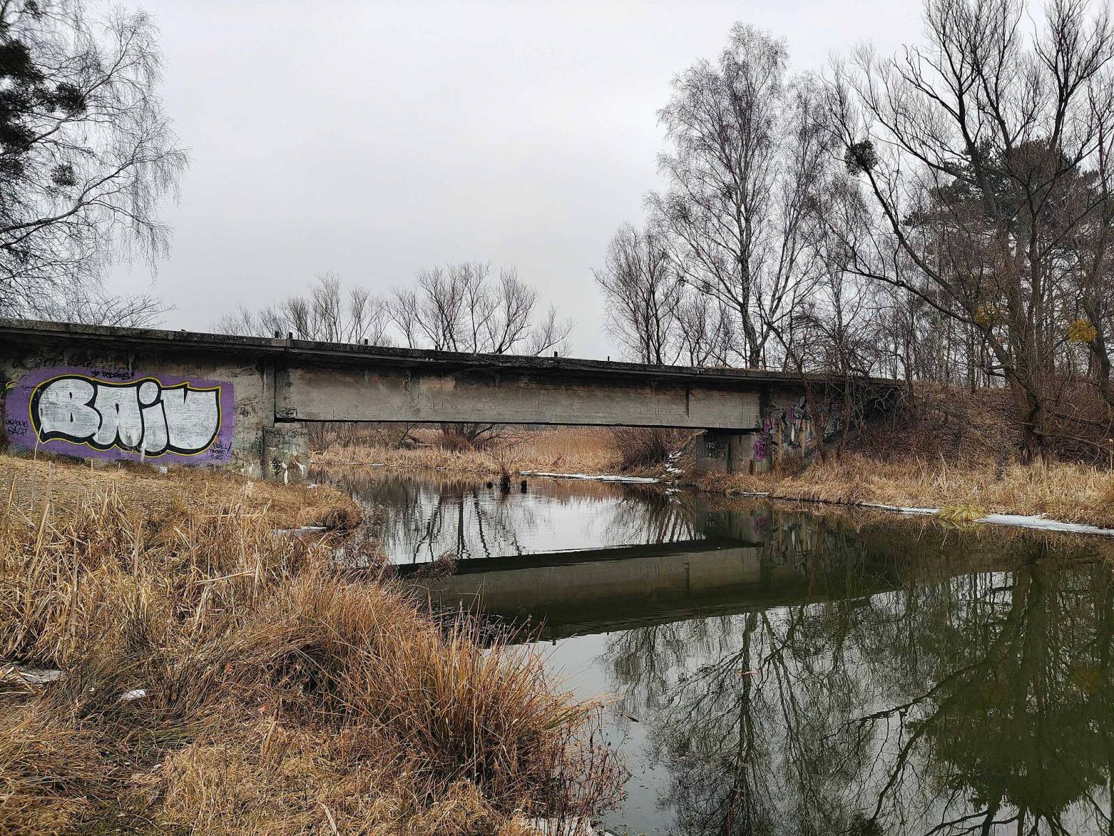 Zdjęcie 5