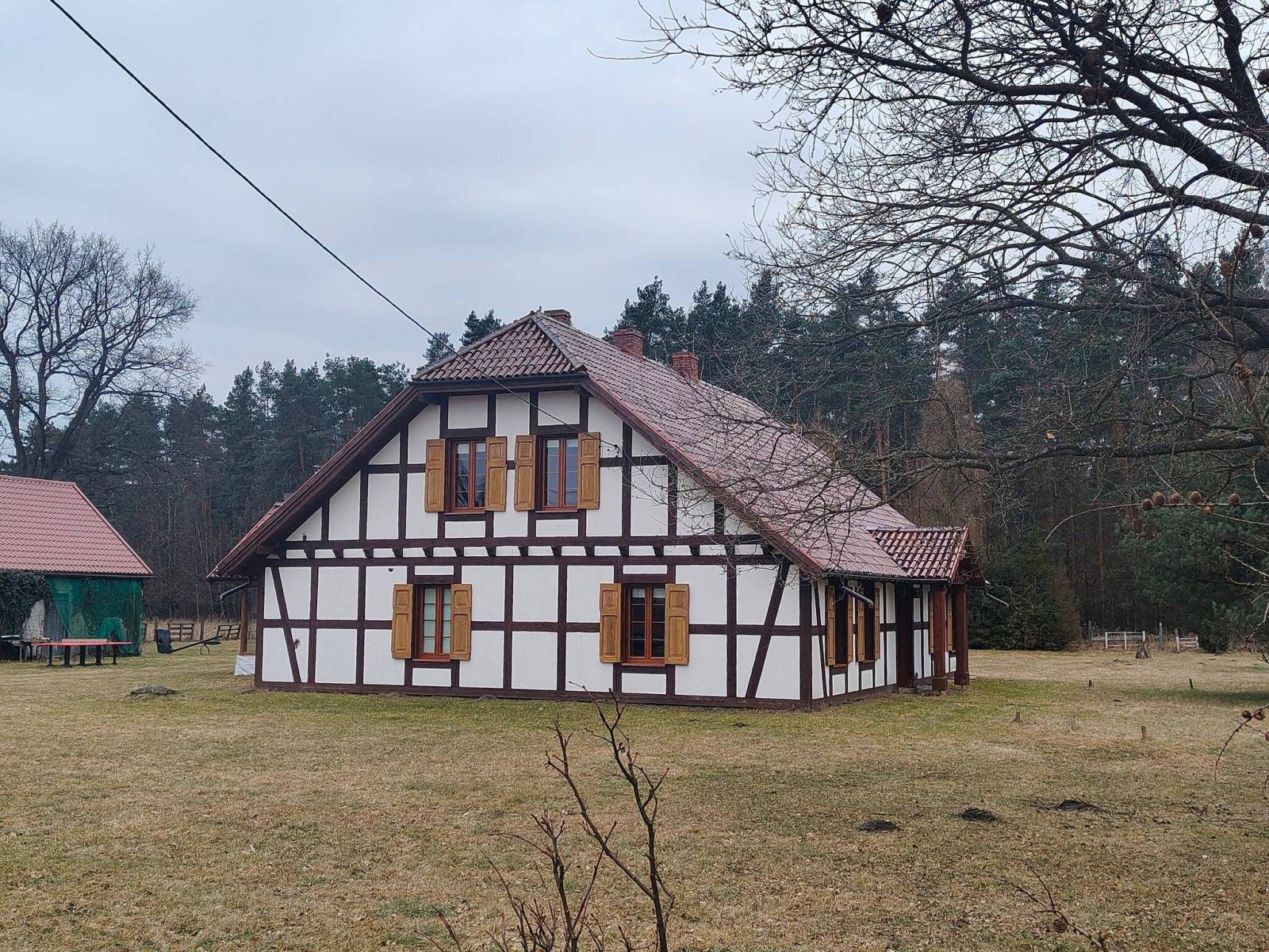Zdjęcie 3