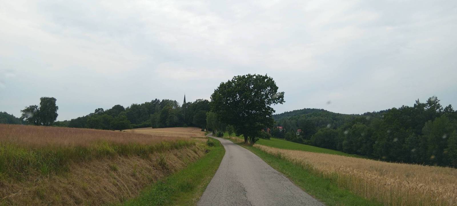 Zdjęcie 3