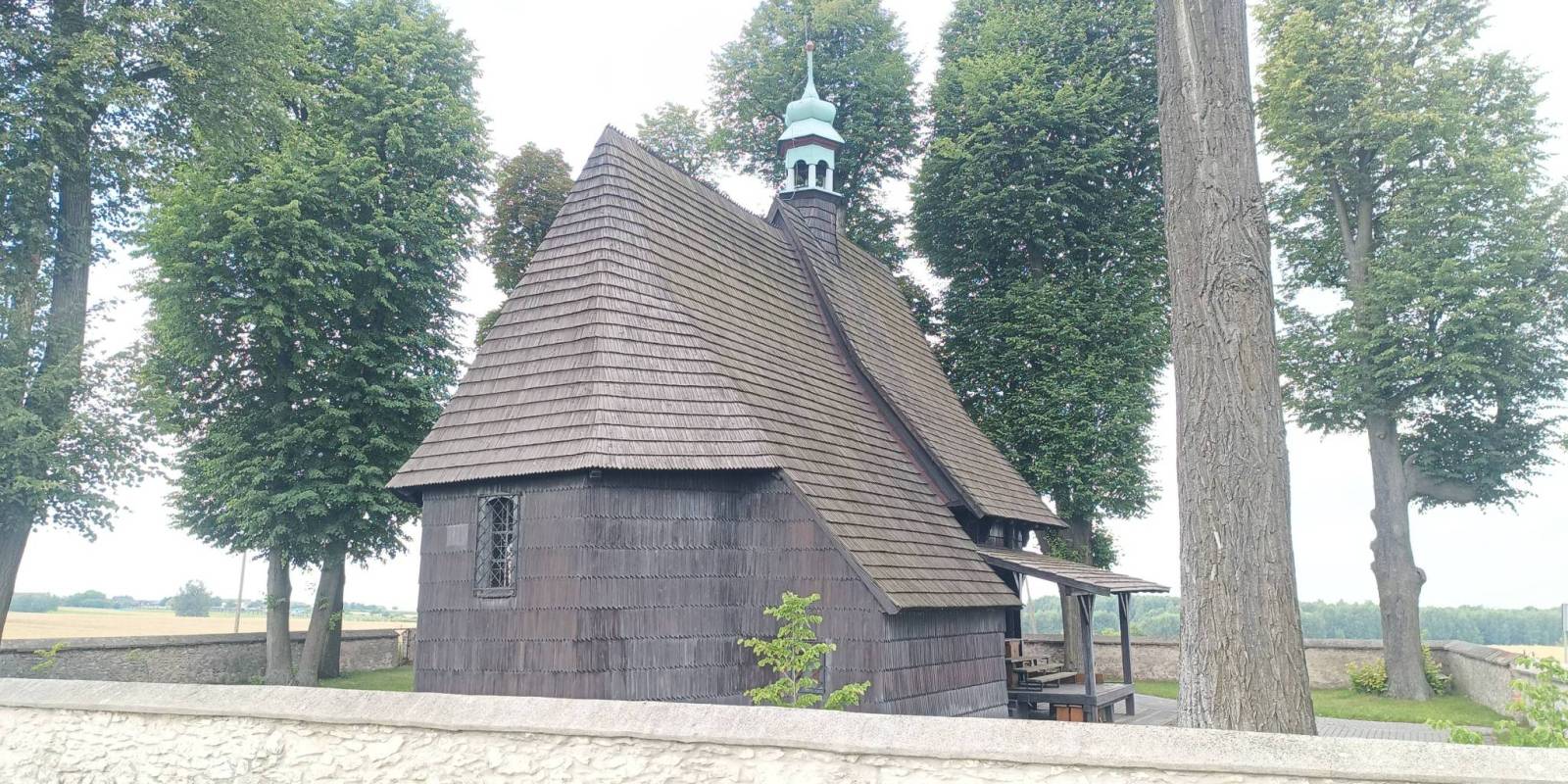 Zdjęcie 5