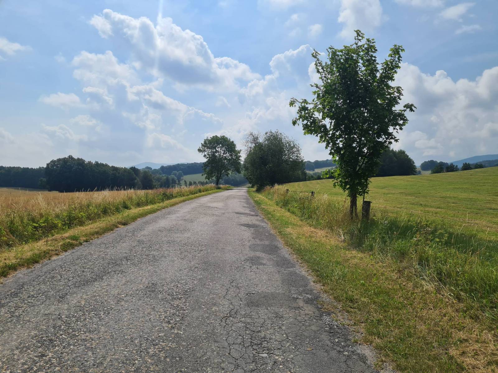 Zdjęcie 4