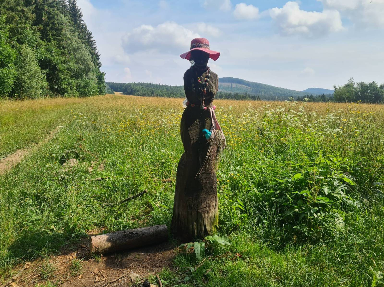 Zdjęcie 5