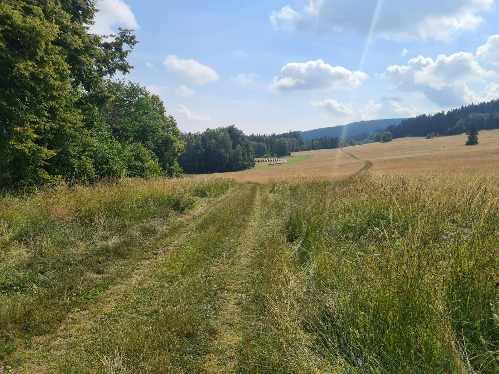 Zdjęcie 6