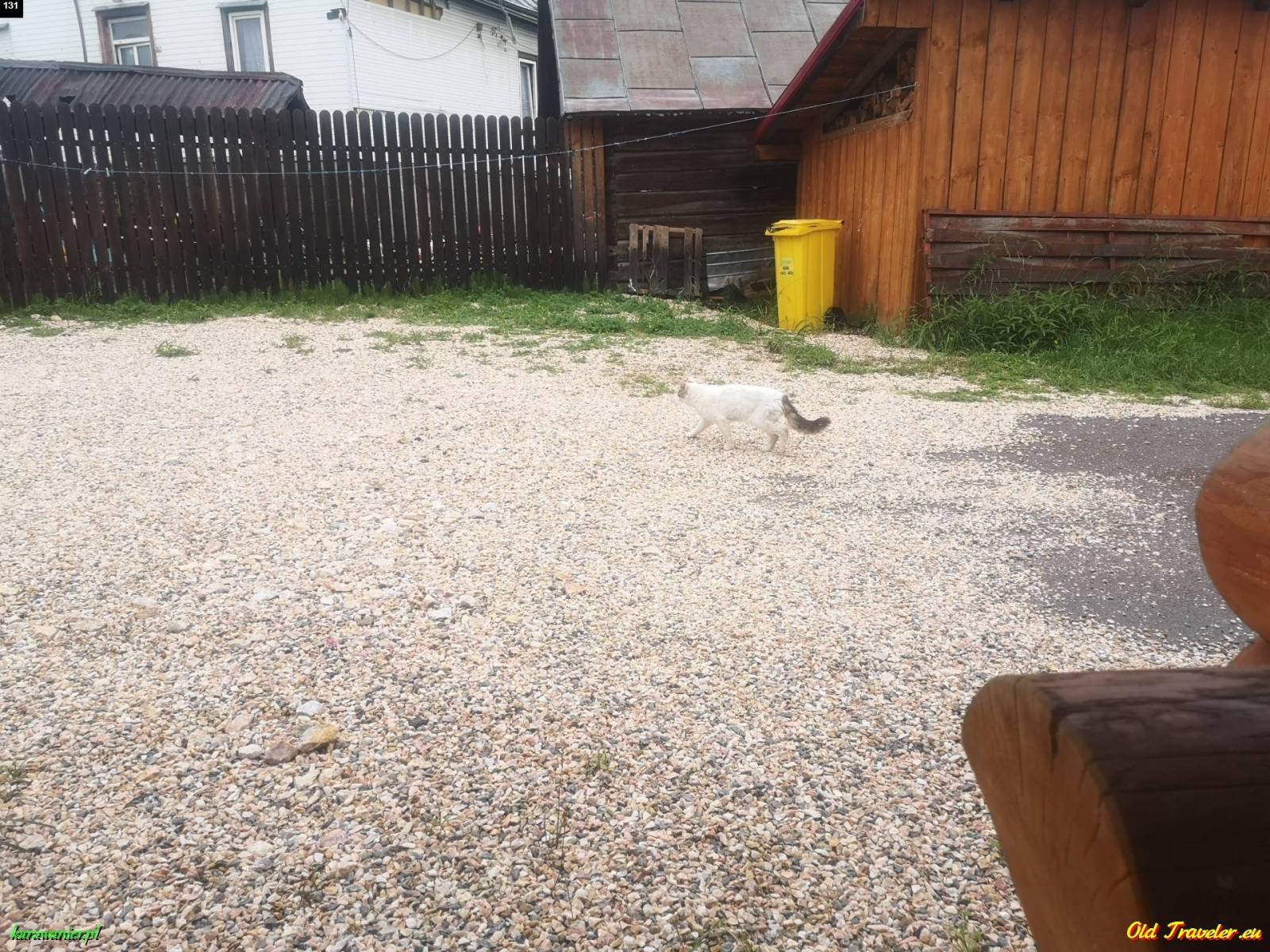 Zdjęcie 5