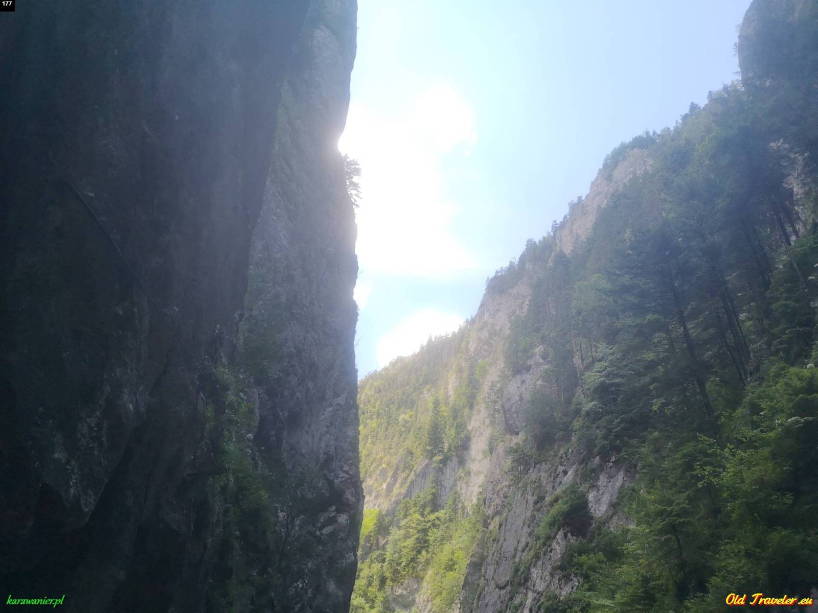 Zdjęcie 2