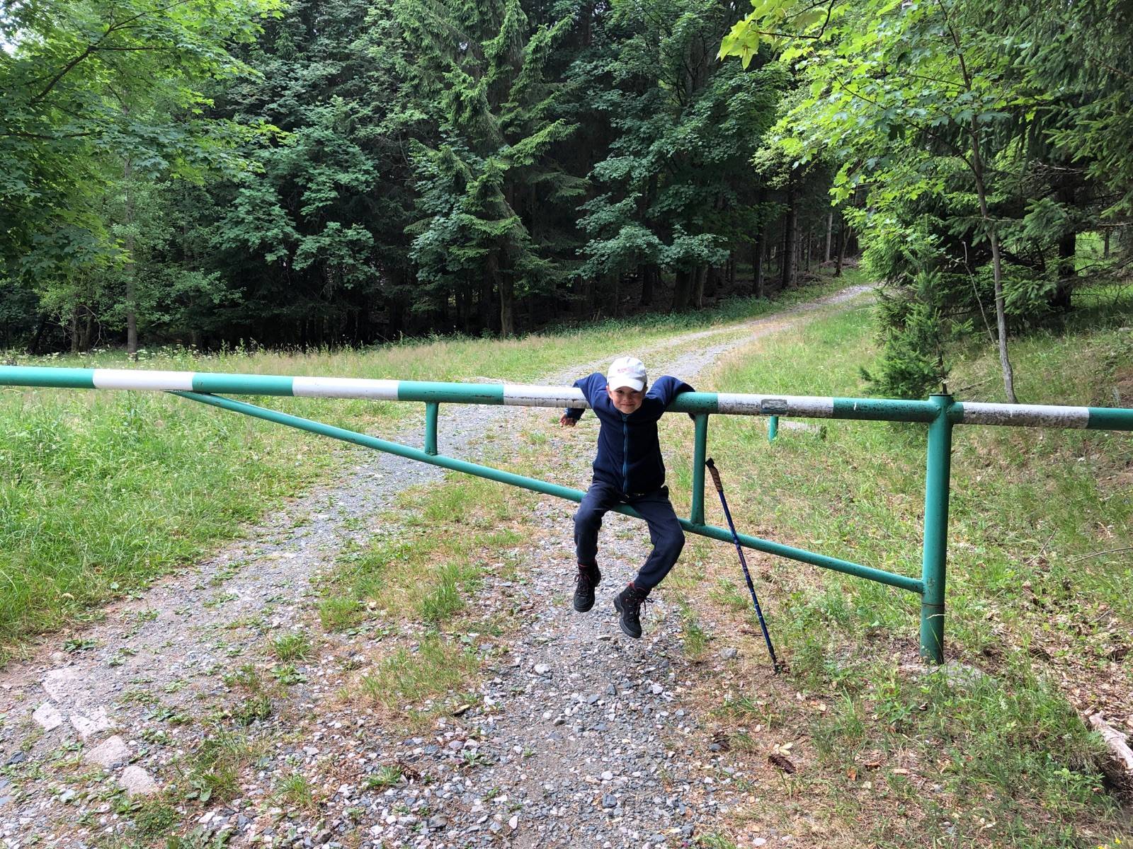 Zdjęcie 1