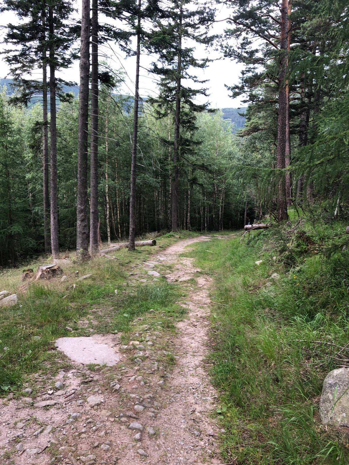 Zdjęcie 2