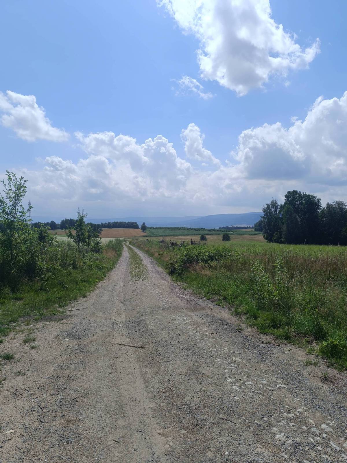 Zdjęcie 4