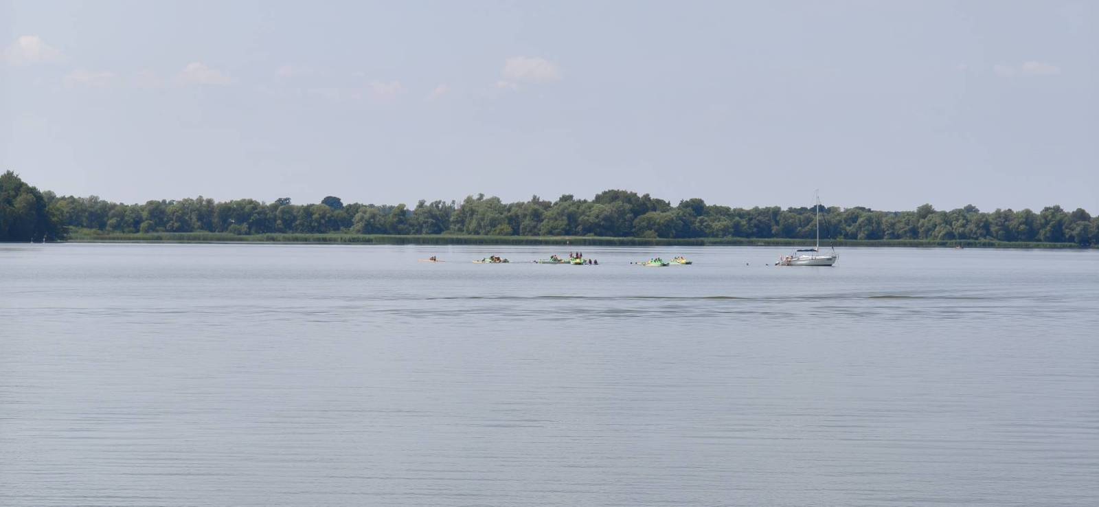 Zdjęcie 5