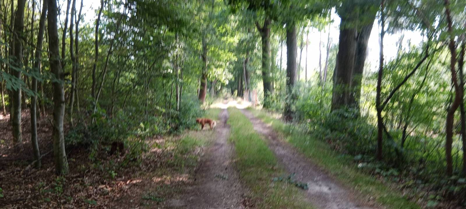 Zdjęcie 2