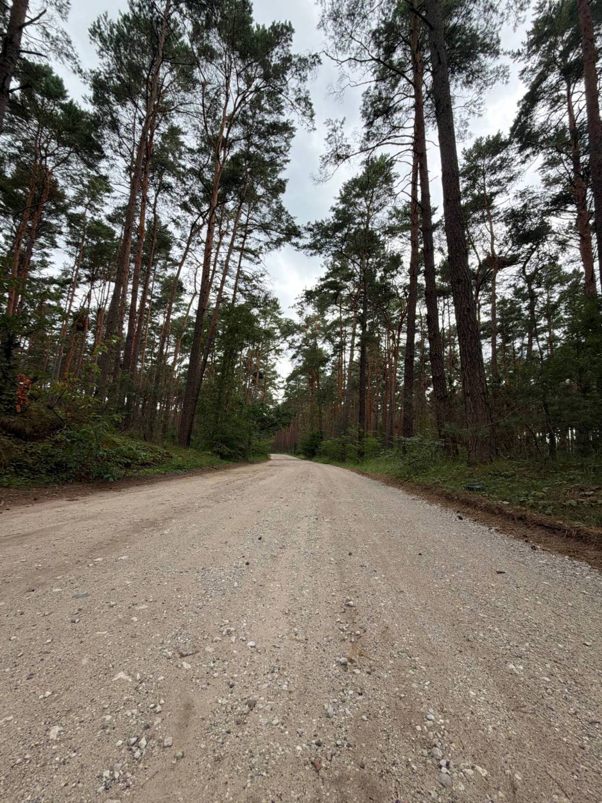 Zdjęcie 6