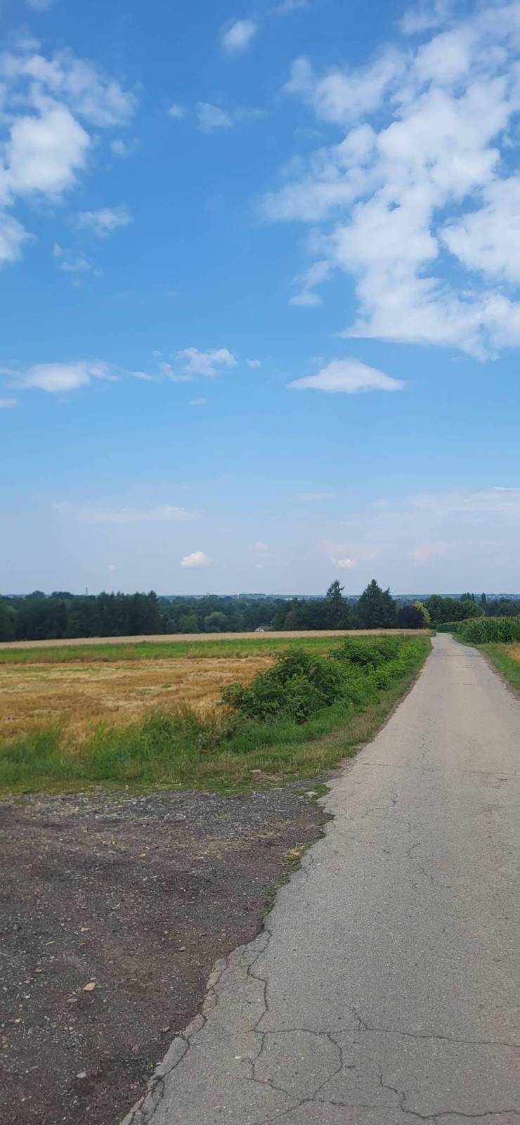 Zdjęcie 2