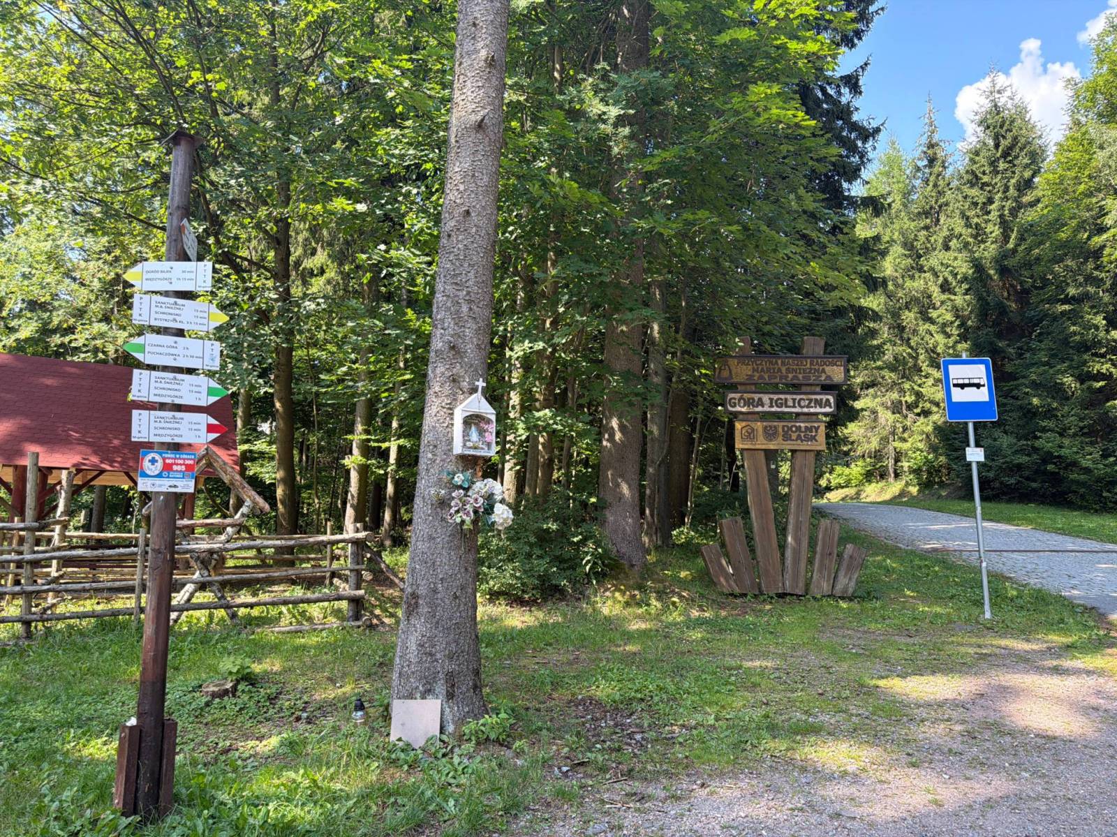 Zdjęcie 6