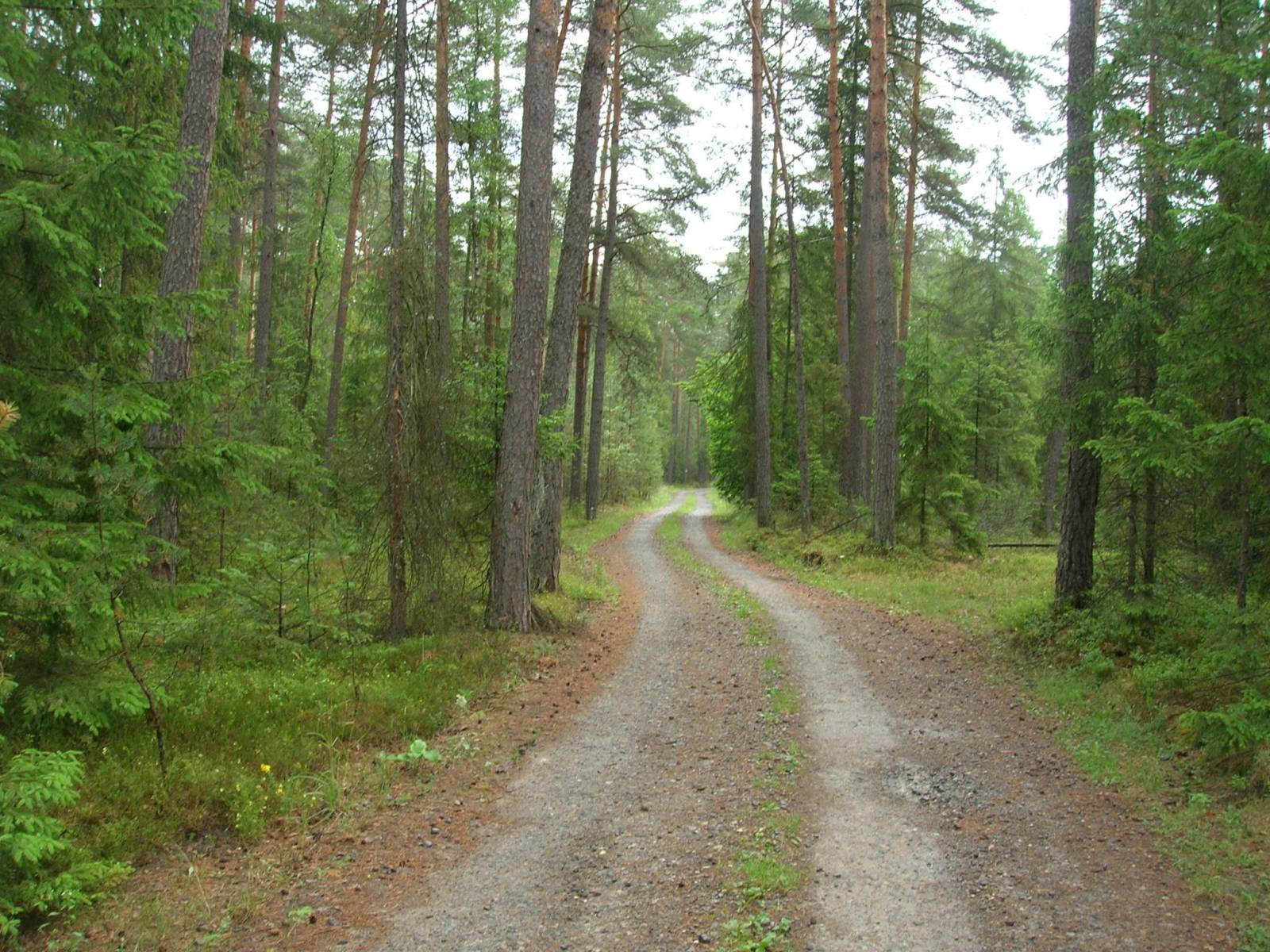 Zdjęcie 4