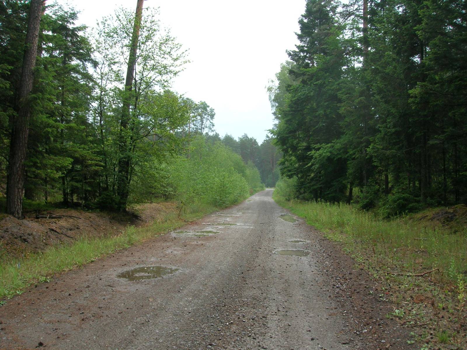 Zdjęcie 5