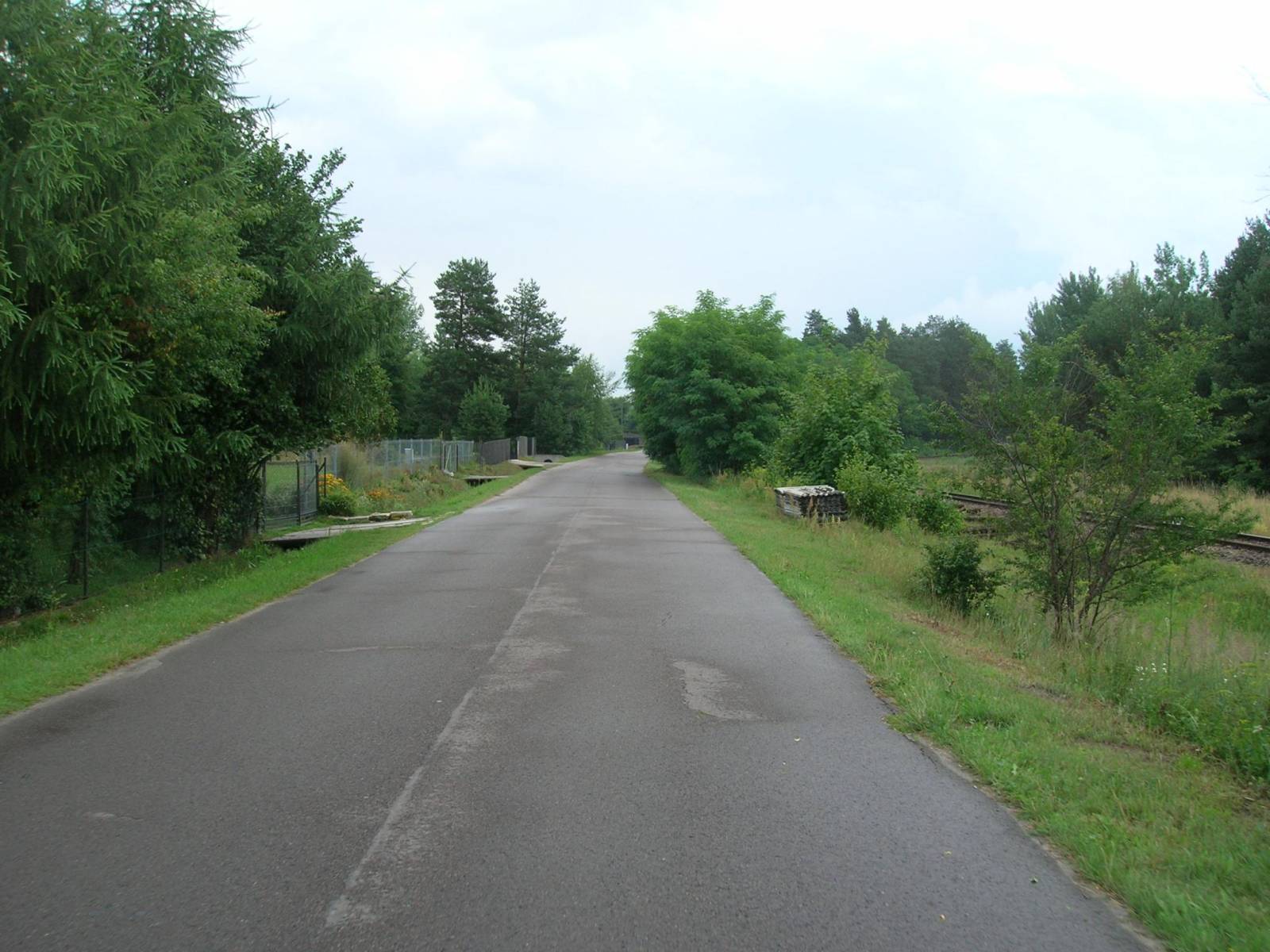 Zdjęcie 6