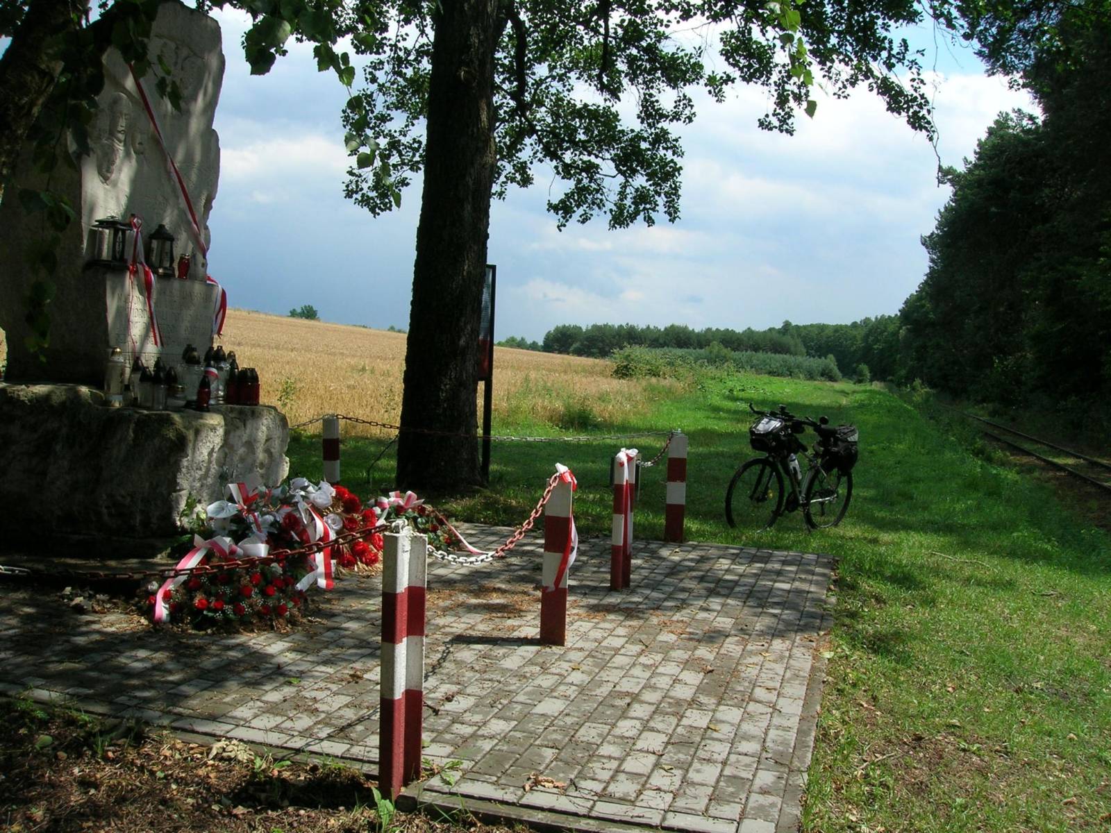 Zdjęcie 1