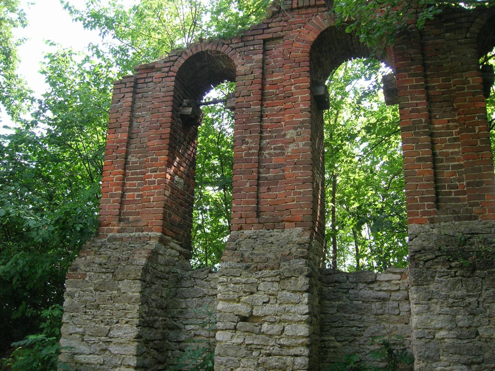 Zdjęcie 1