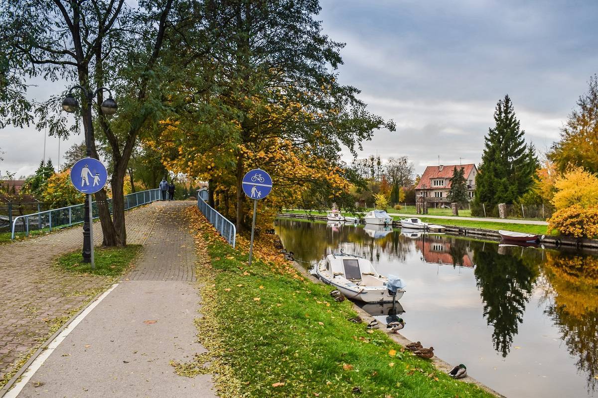 Zdjęcie 3