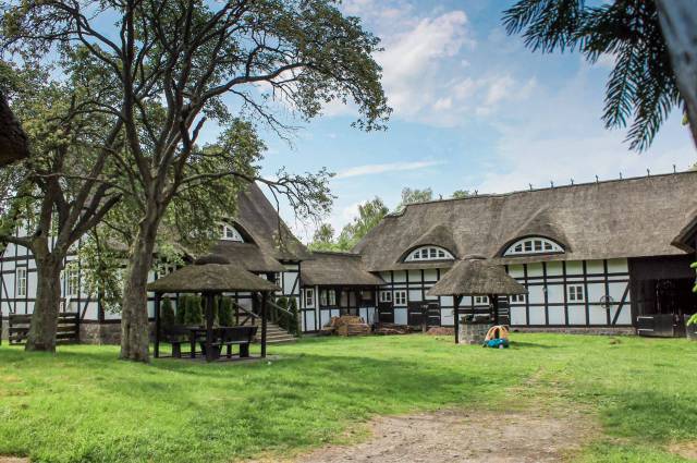 thumb-image