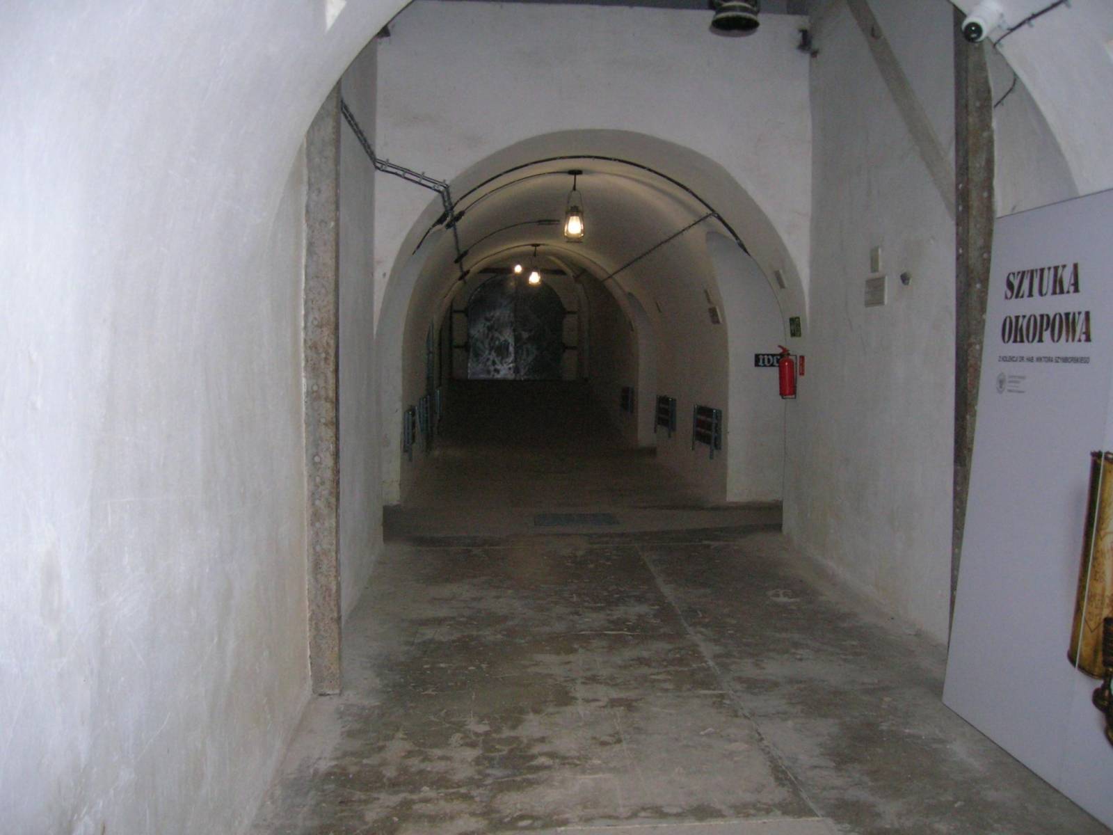Zdjęcie 5
