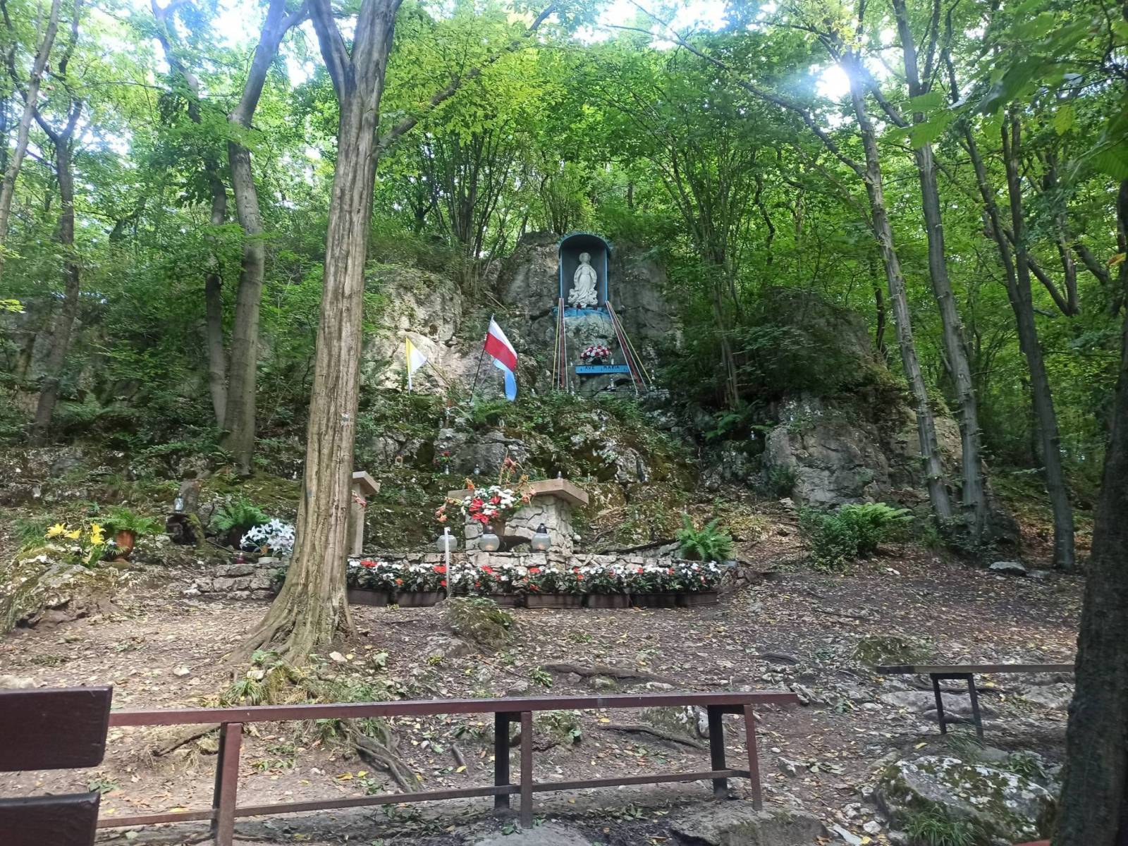 Zdjęcie 5
