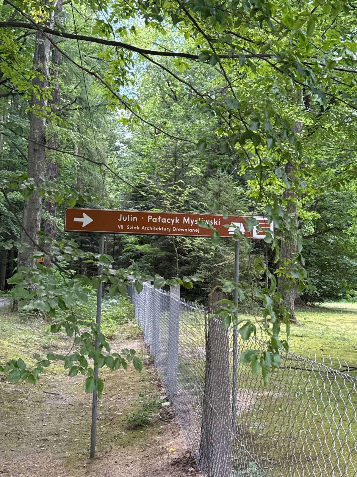 Zdjęcie 4