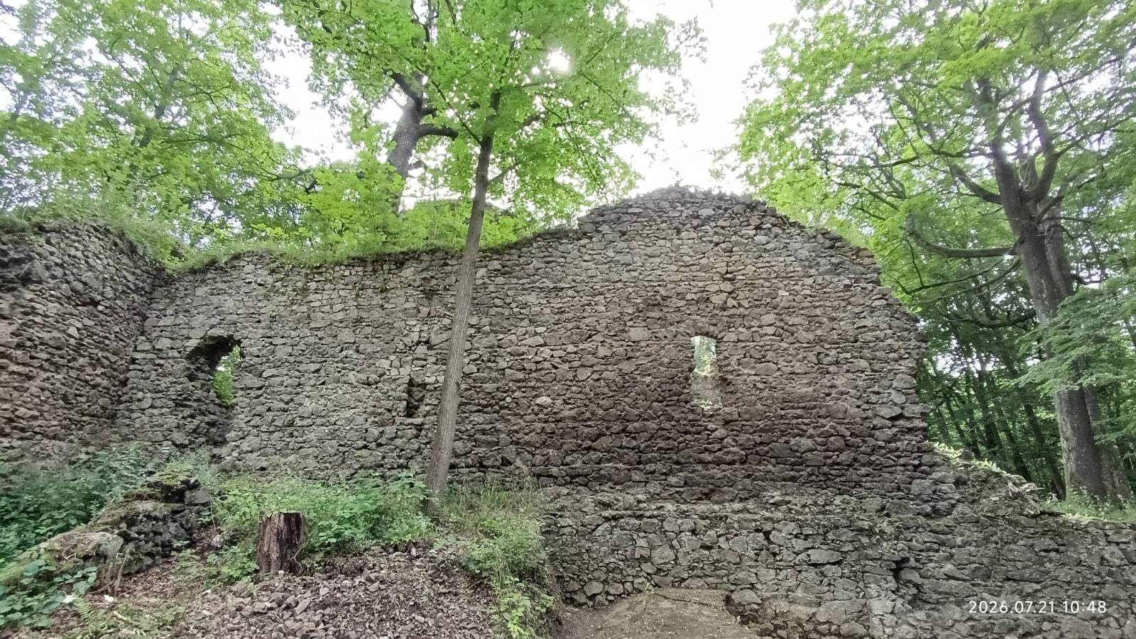 Zdjęcie 6