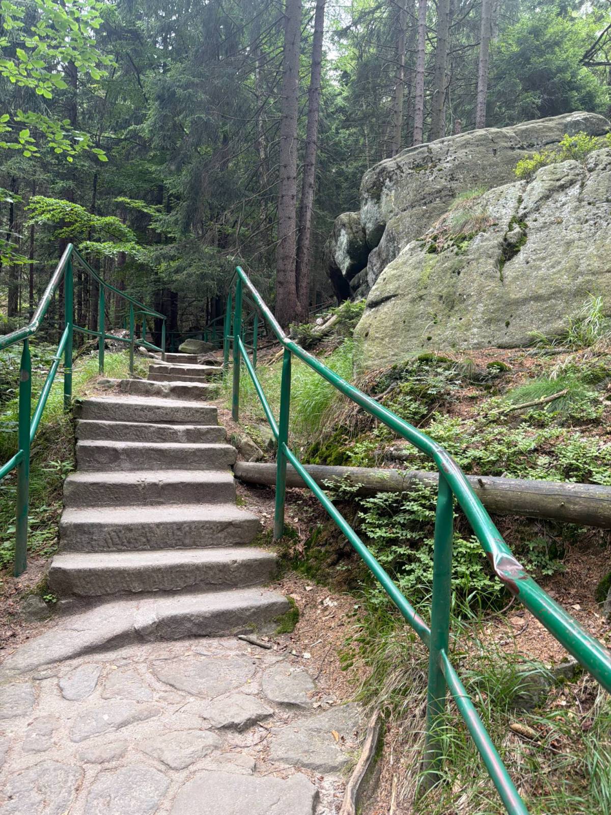 Zdjęcie 3