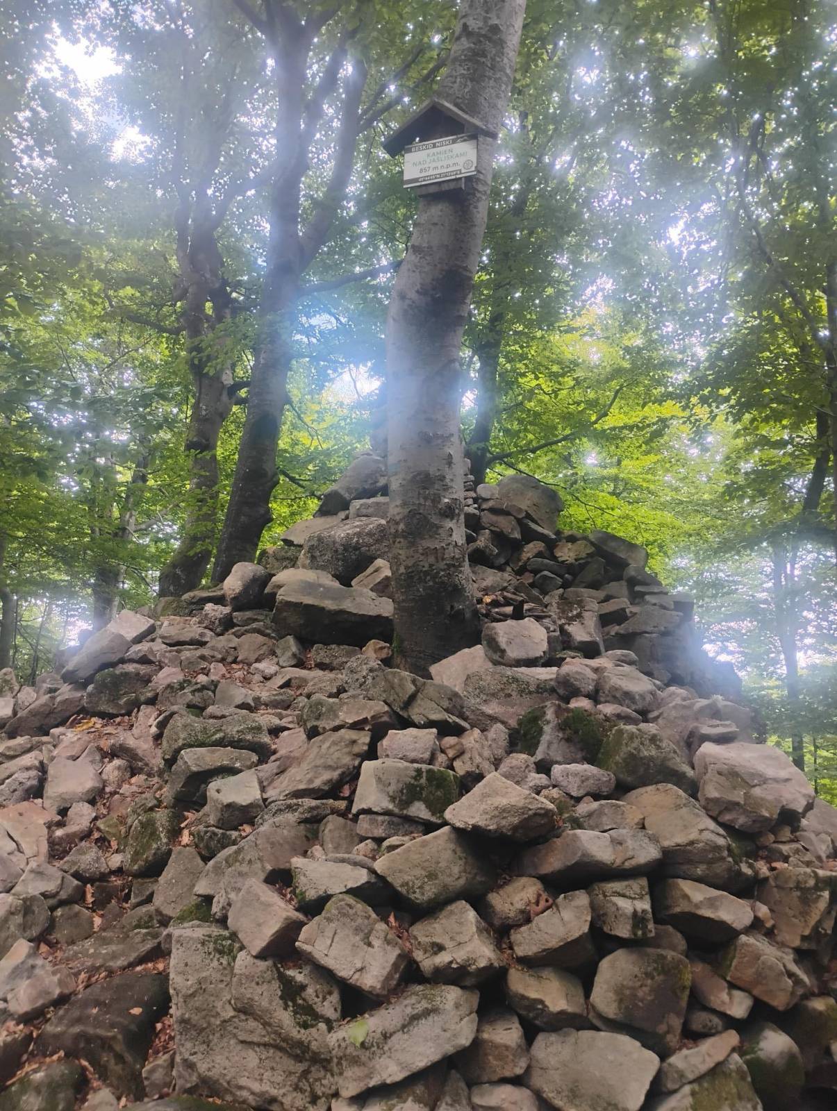 Zdjęcie 1