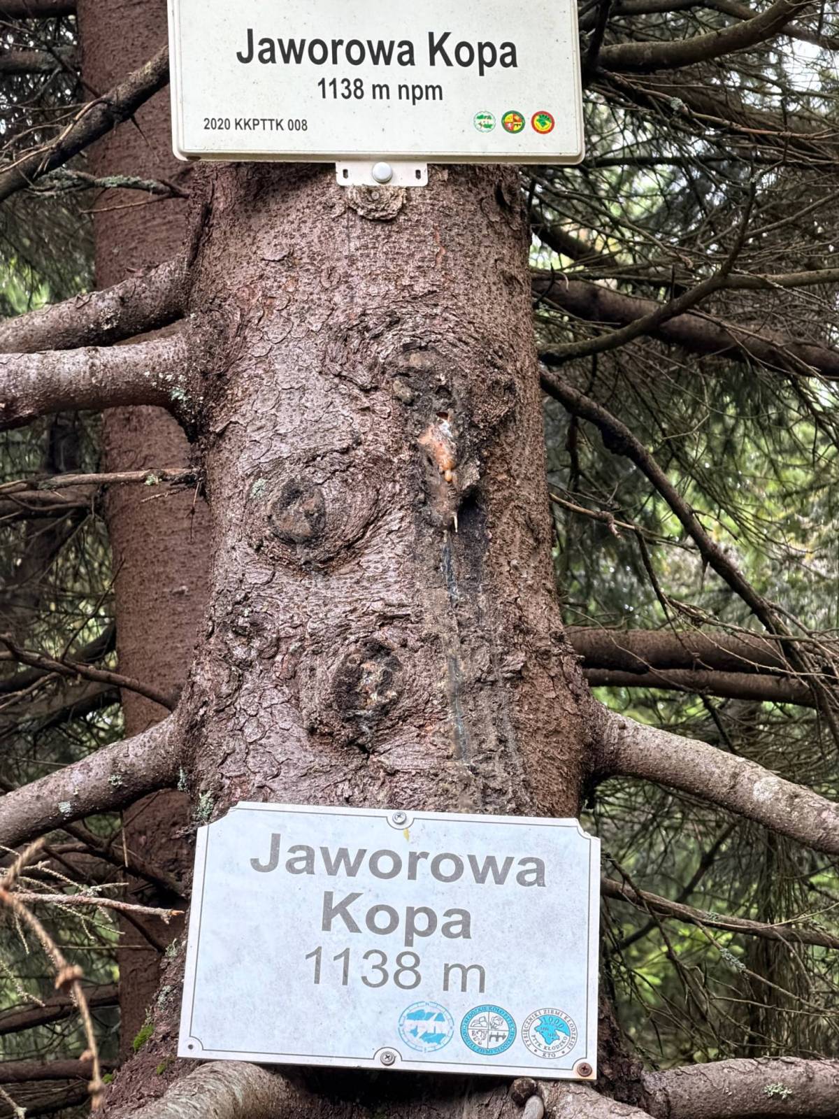 Zdjęcie 5