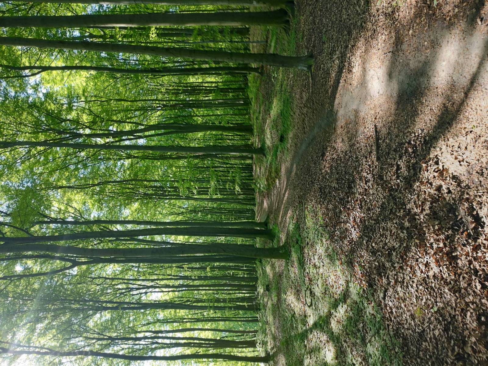 Zdjęcie 5