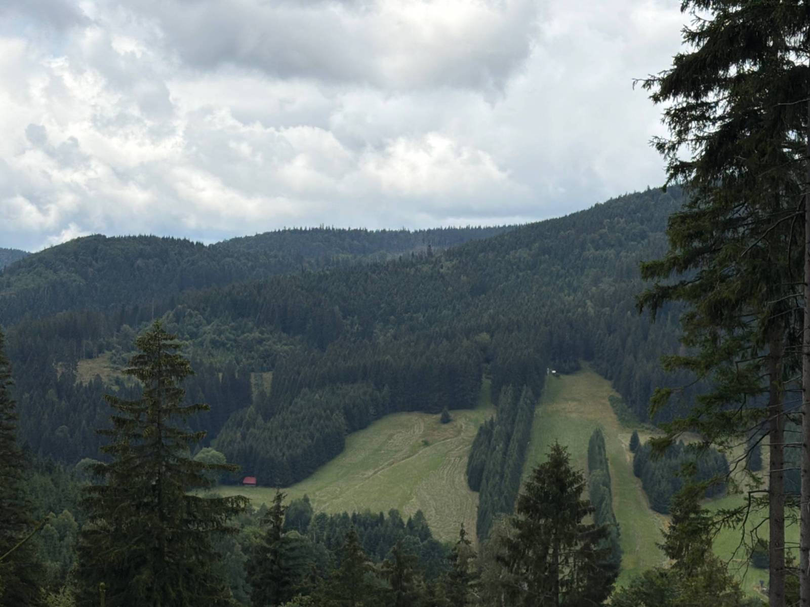 Zdjęcie 2