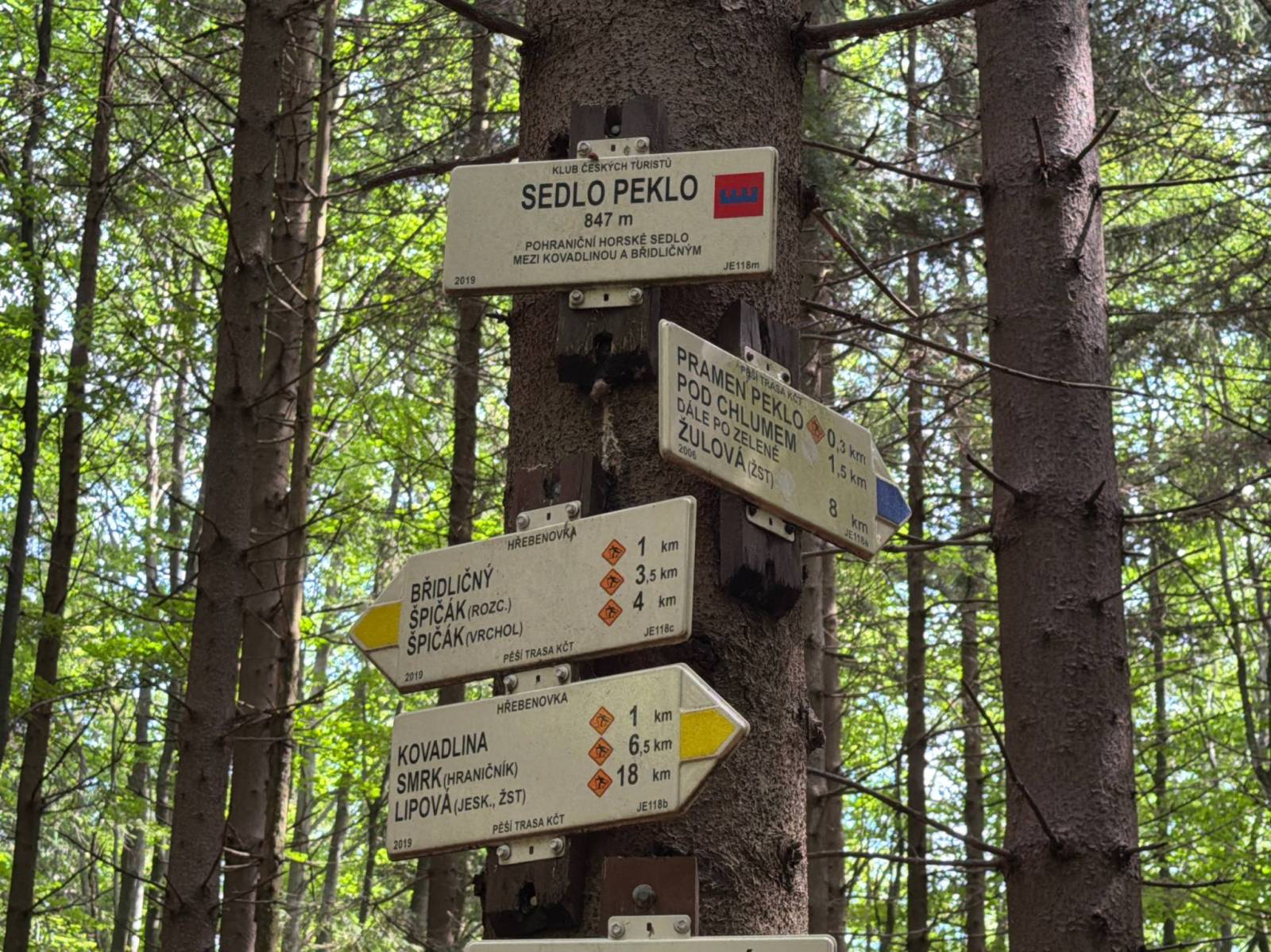 Zdjęcie 3