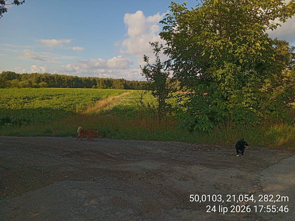 Zdjęcie 6