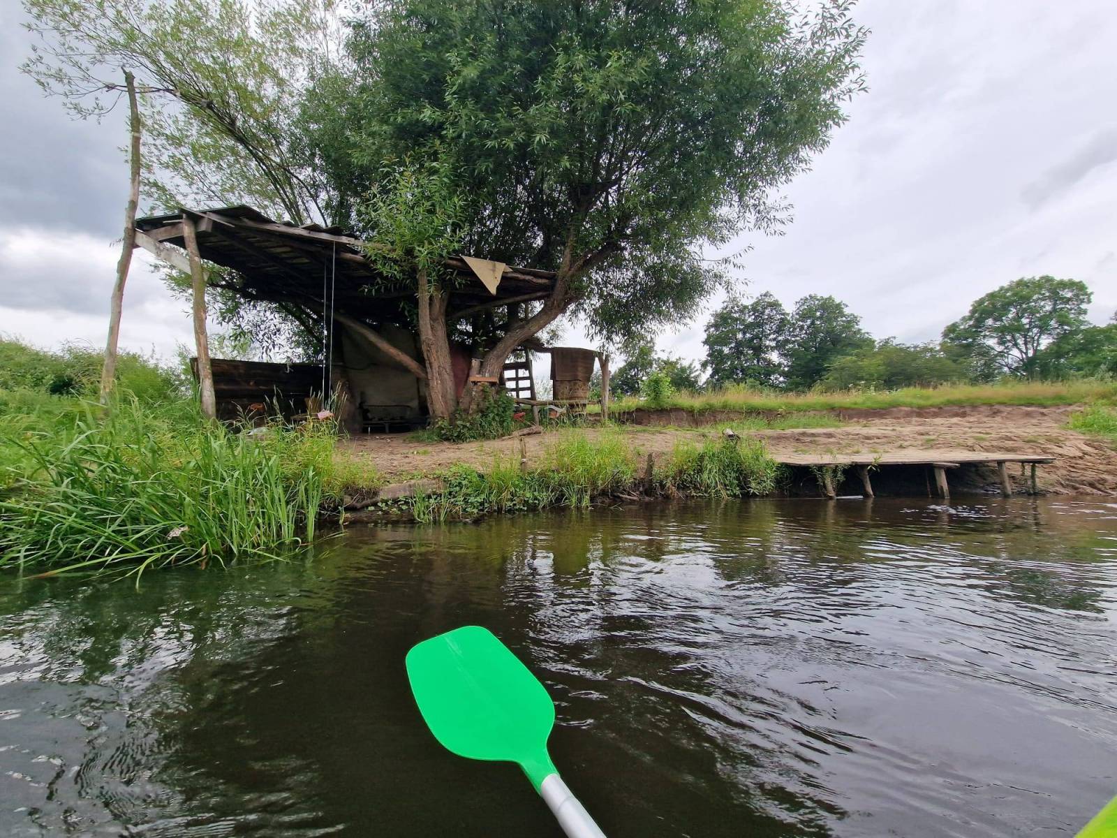 Zdjęcie 6