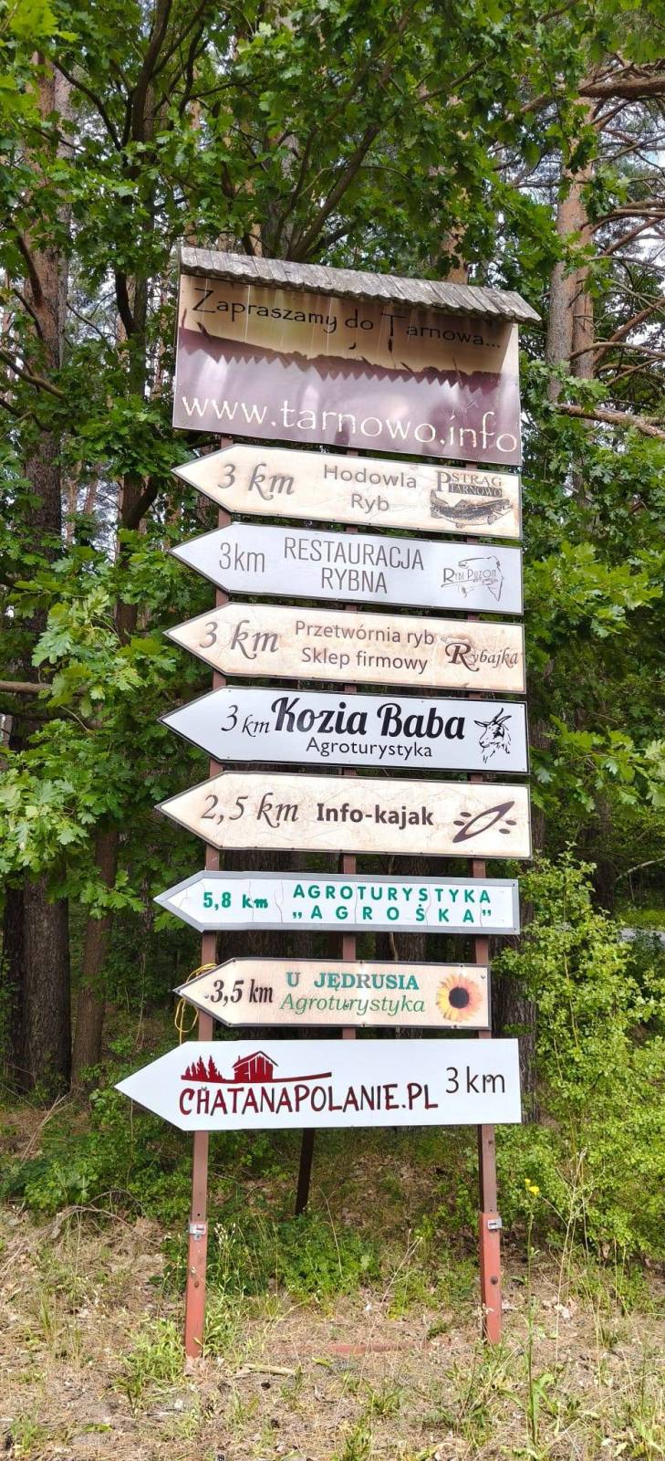 Zdjęcie 4