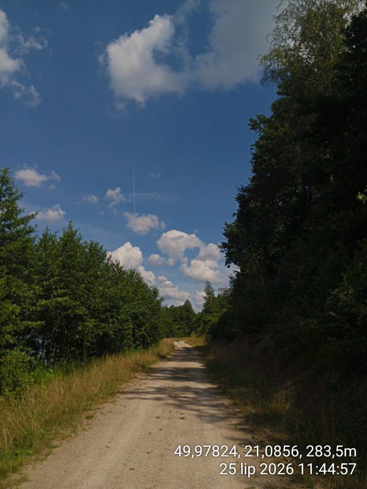 Zdjęcie 3