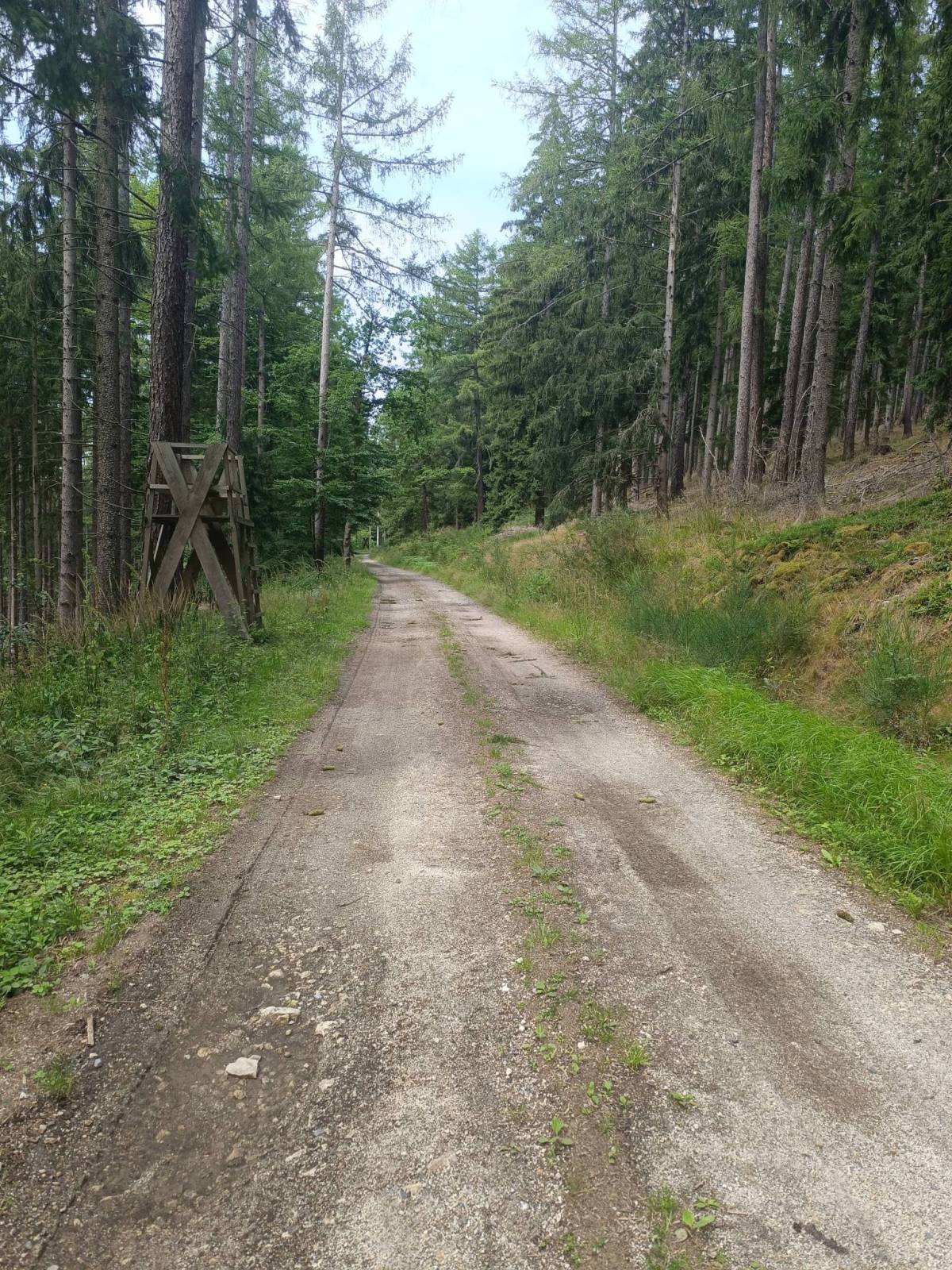 Zdjęcie 1