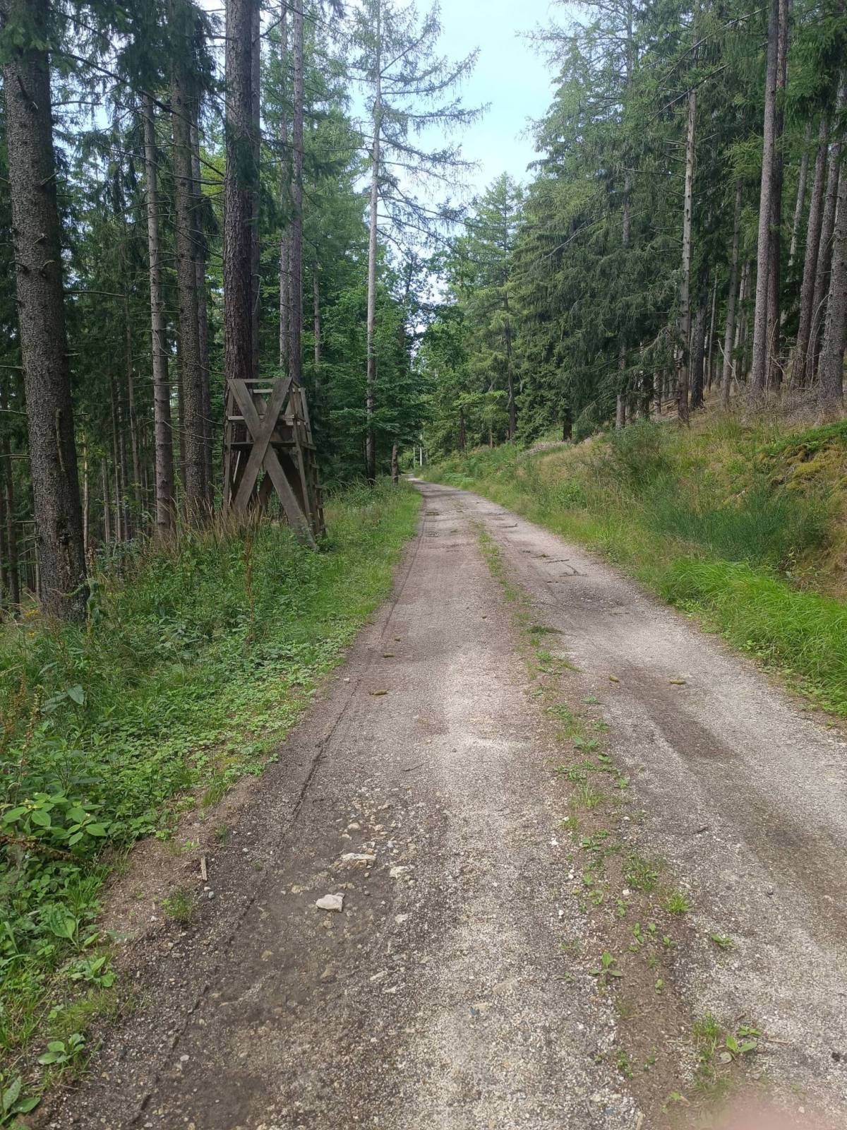 Zdjęcie 2