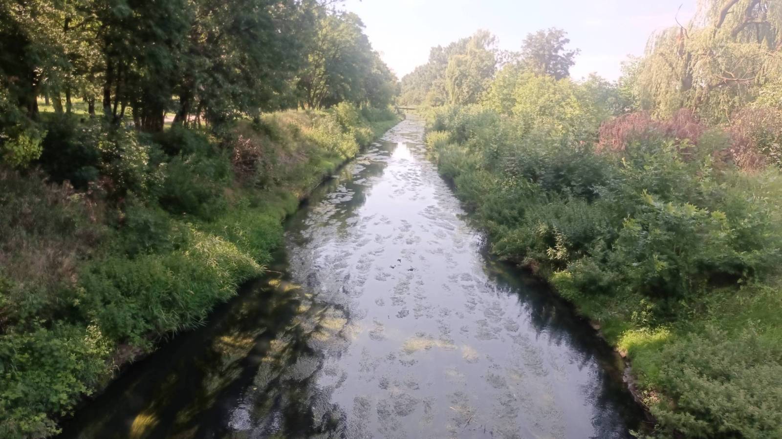Zdjęcie 3