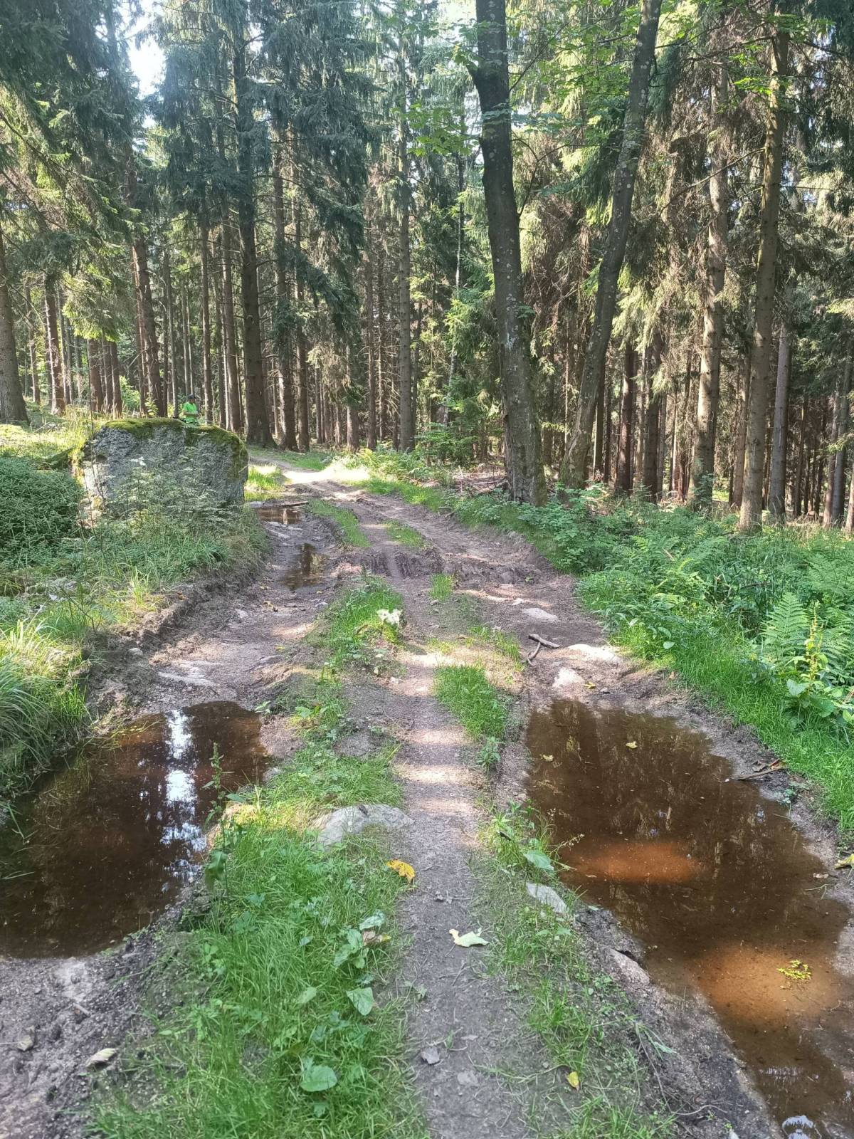 Zdjęcie 5