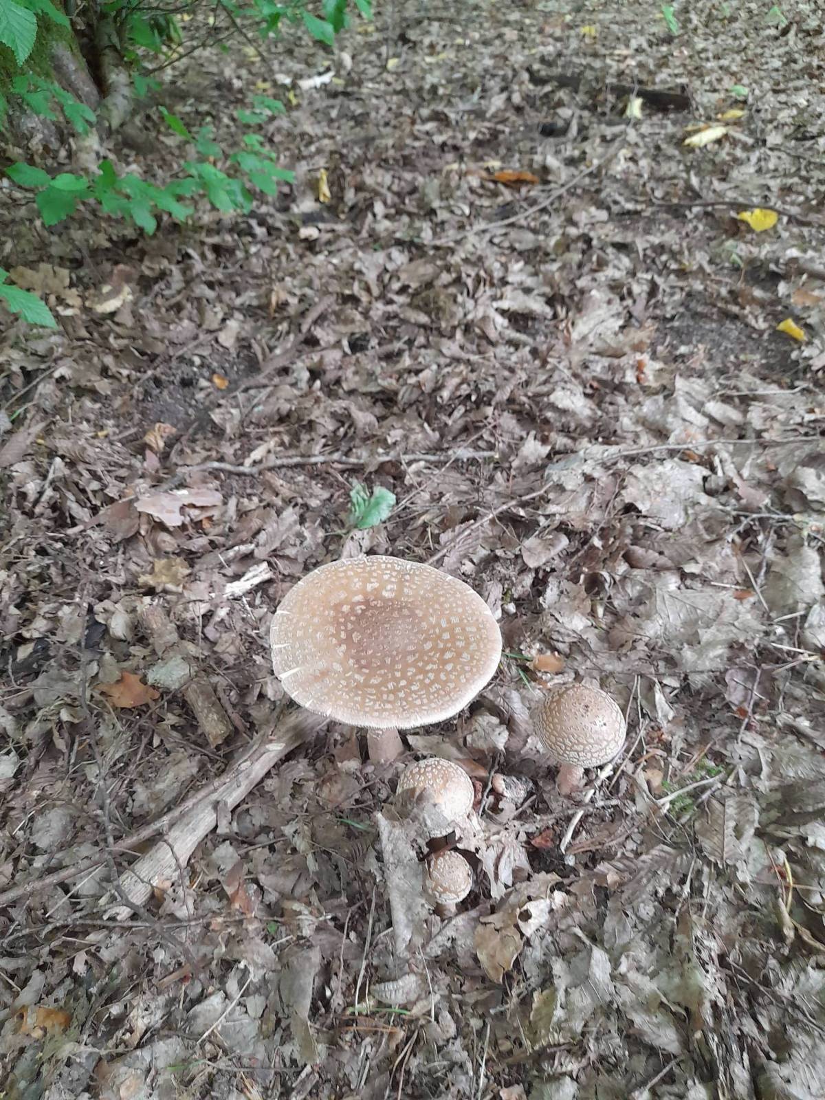 Zdjęcie 2